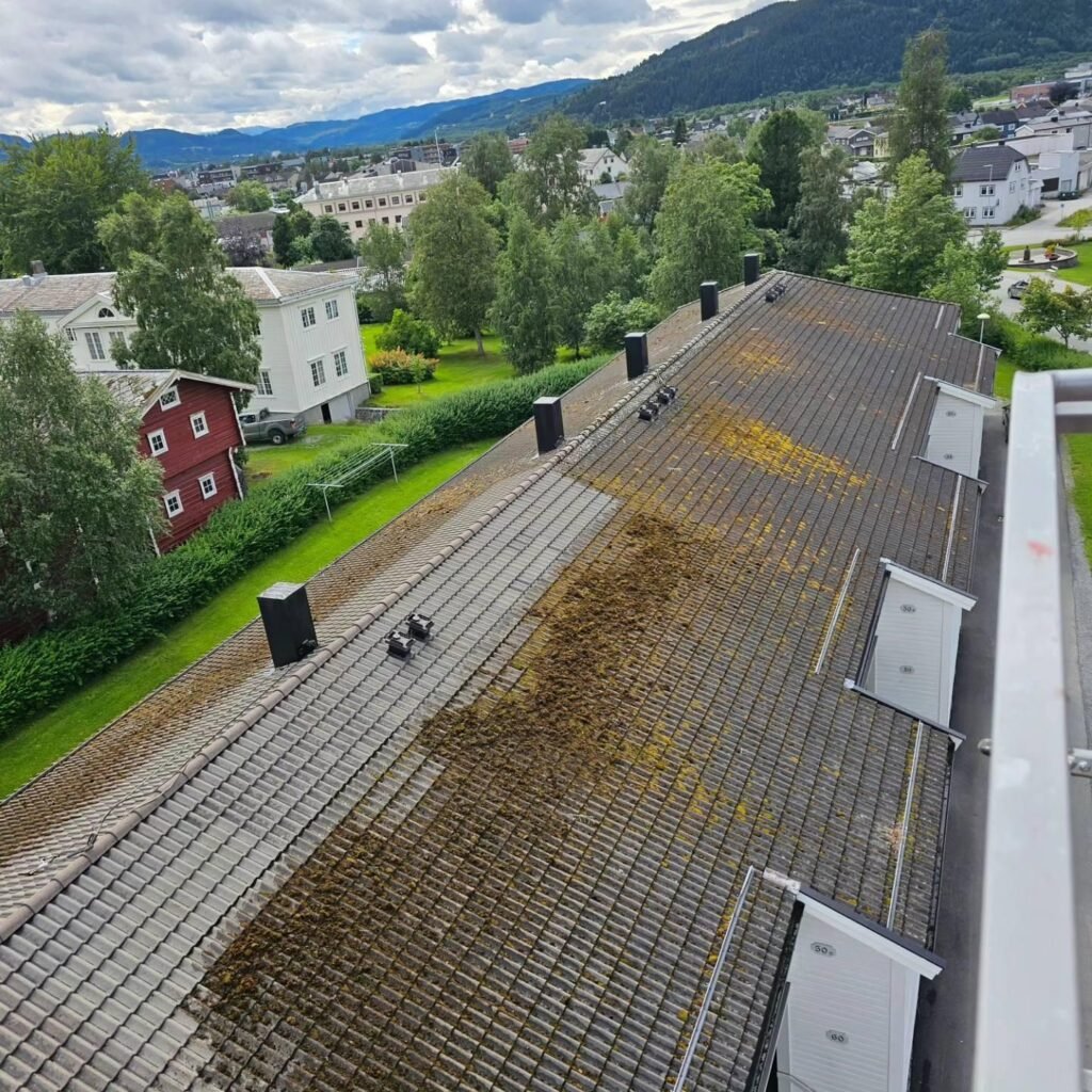 Roof Cleaning & Maintenance Oslo 1 Roof Cleaning & Maintenance Oslo