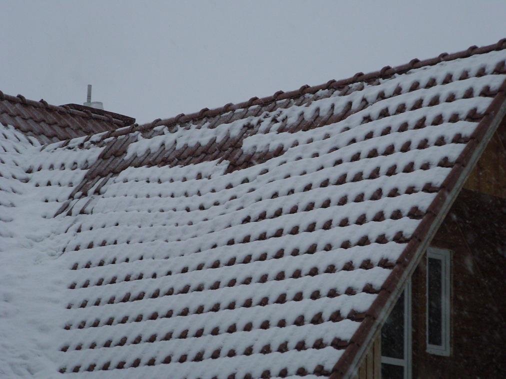 Roof Repairs in Oslo
